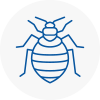 Bed Bug Extermination In Dalston
