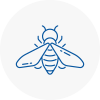 Bee Nest Removal Dalston