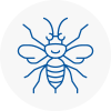 Dalston Hornet Nest Removals