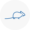 Mice Exterminators In Dalston