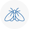 Moth Control Specialists In Dalston