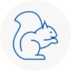 Dalston Rodent Removals
